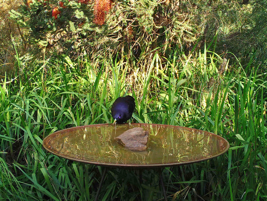 Large Dish on Floating Steel Stand