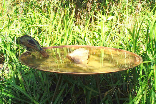 Large Dish on Floating Steel Stand