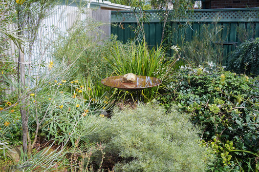 Medium Dish on Floating Steel Stand