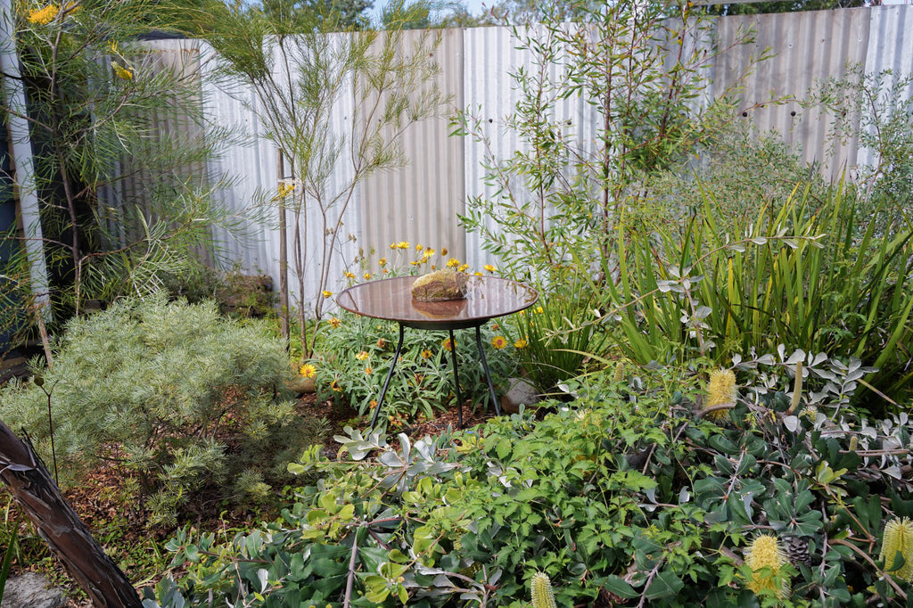 Medium Dish on Floating Steel Stand