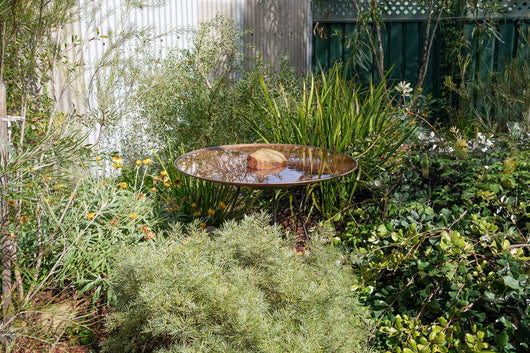 Large Dish on Floating Steel Stand