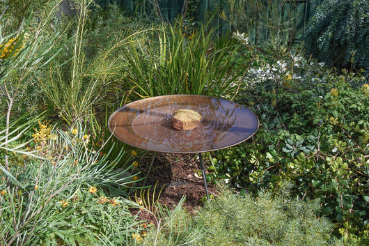 Large Dish on Floating Steel Stand