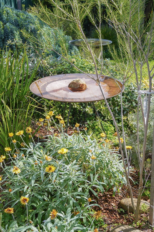 Large Dish on Floating Steel Stand