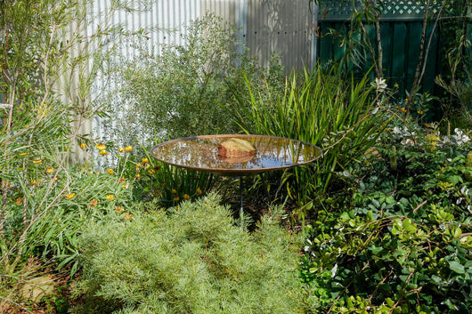 Large Dish on Floating Steel Stand