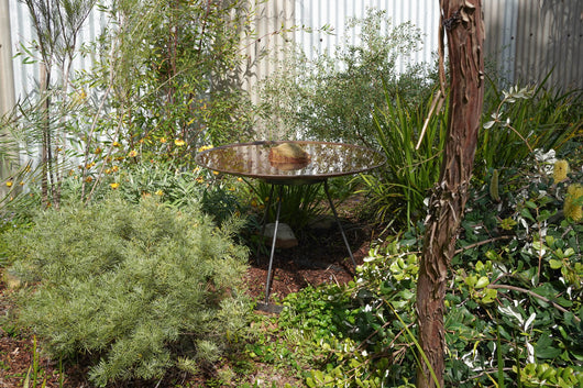 Large Dish on Floating Steel Stand