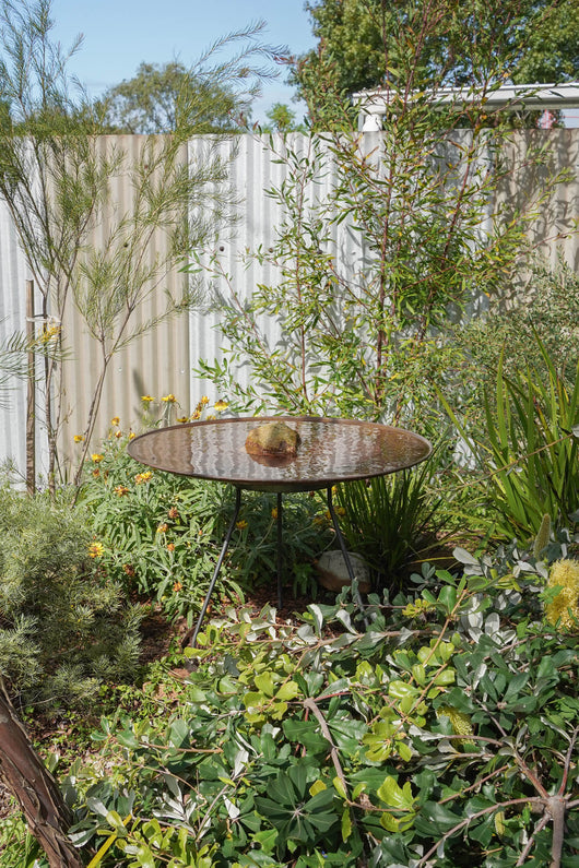 Large Dish on Floating Steel Stand