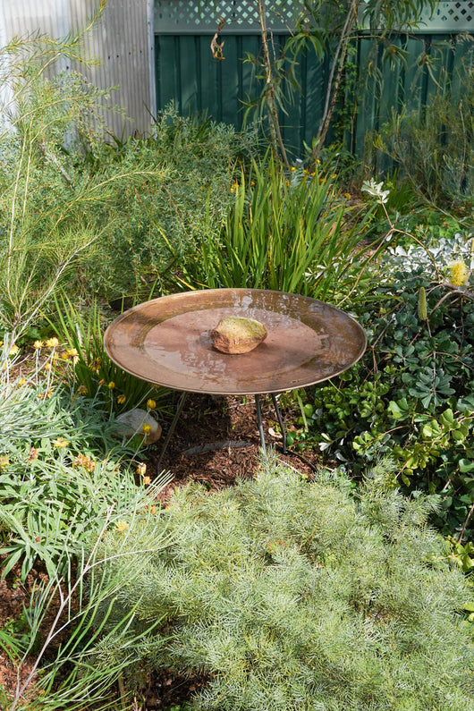 Large Dish on Floating Steel Stand