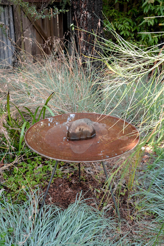 Medium Dish on Floating Steel Stand