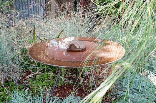 Large Dish on Floating Steel Stand