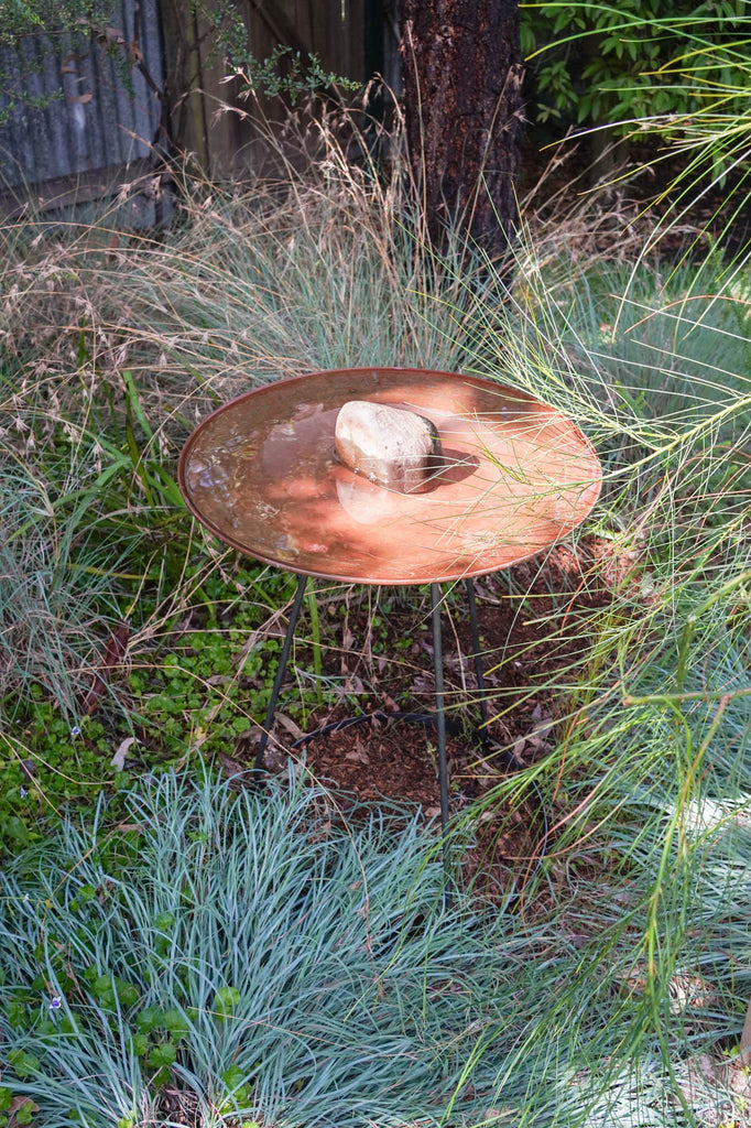 Medium Dish on Floating Steel Stand