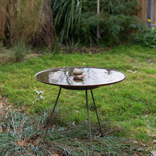 Medium Dish on Floating Steel Stand