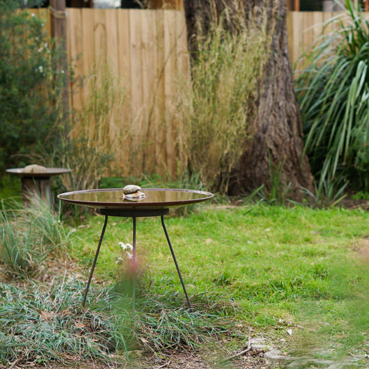 Medium Dish on Floating Steel Stand