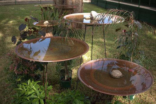 Large Dish on Floating Steel Stand