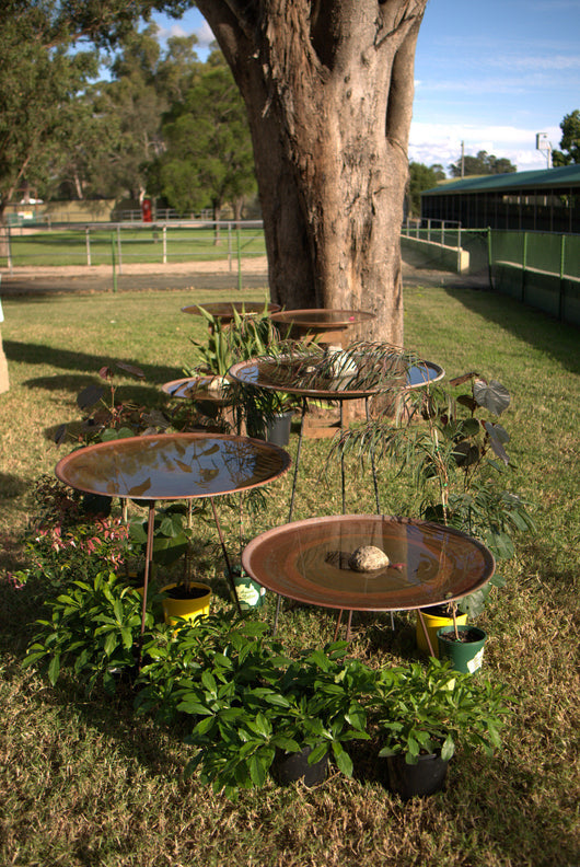 Large Dish on Floating Steel Stand