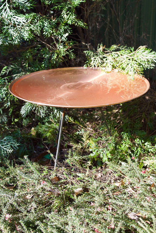 Large Dish on Floating Steel Stand