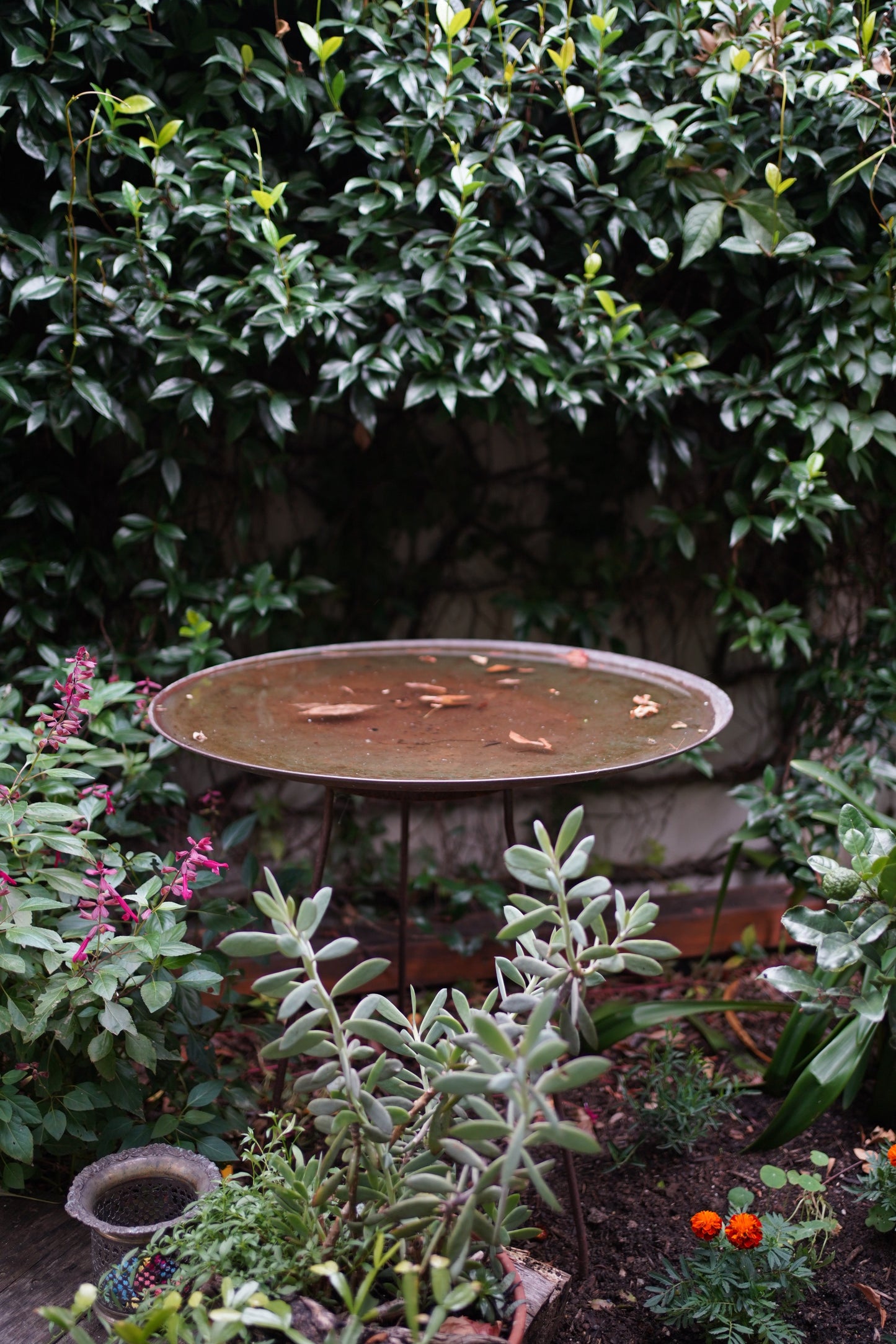 Large Dish on Floating Steel Stand