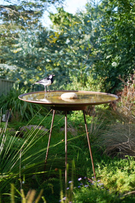 Large Dish on Floating Steel Stand