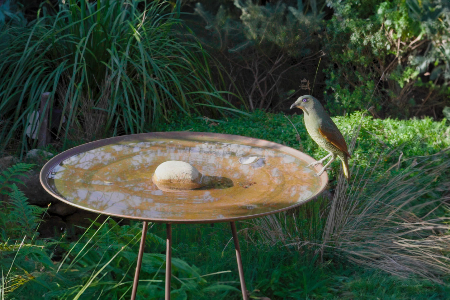 Large Dish on Floating Steel Stand