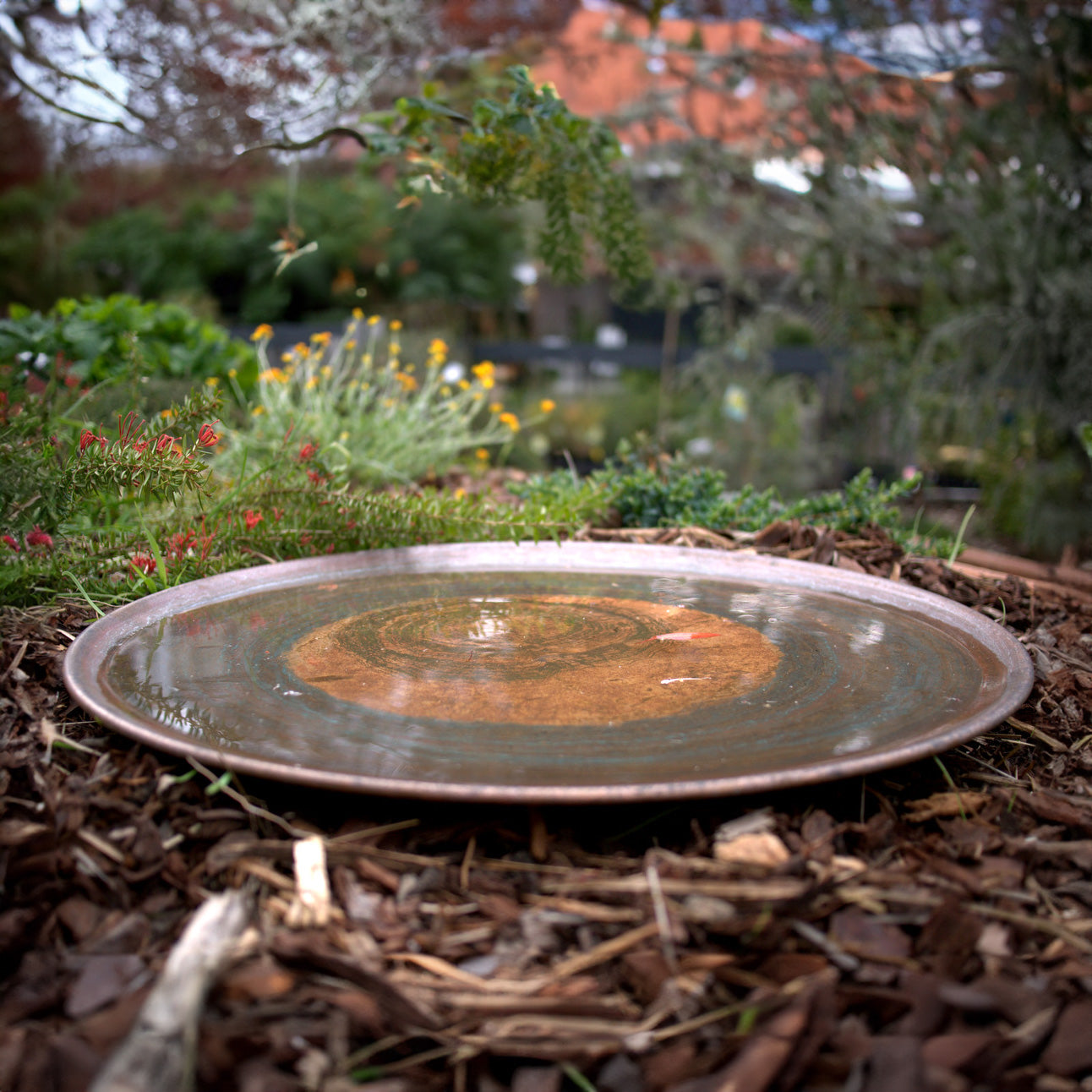 Medium Spun Copper Dish