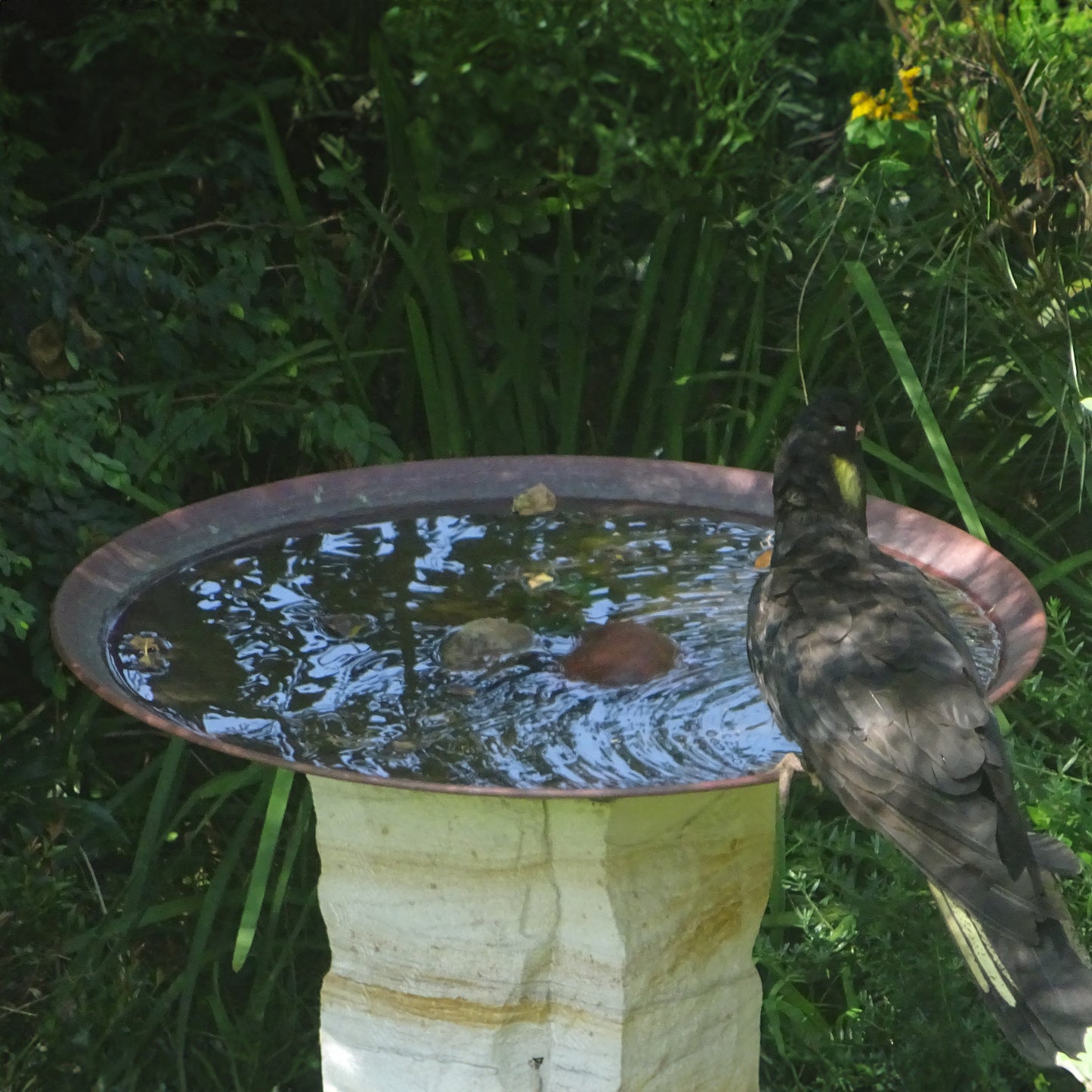 Large Dish on Sandstone Plinth