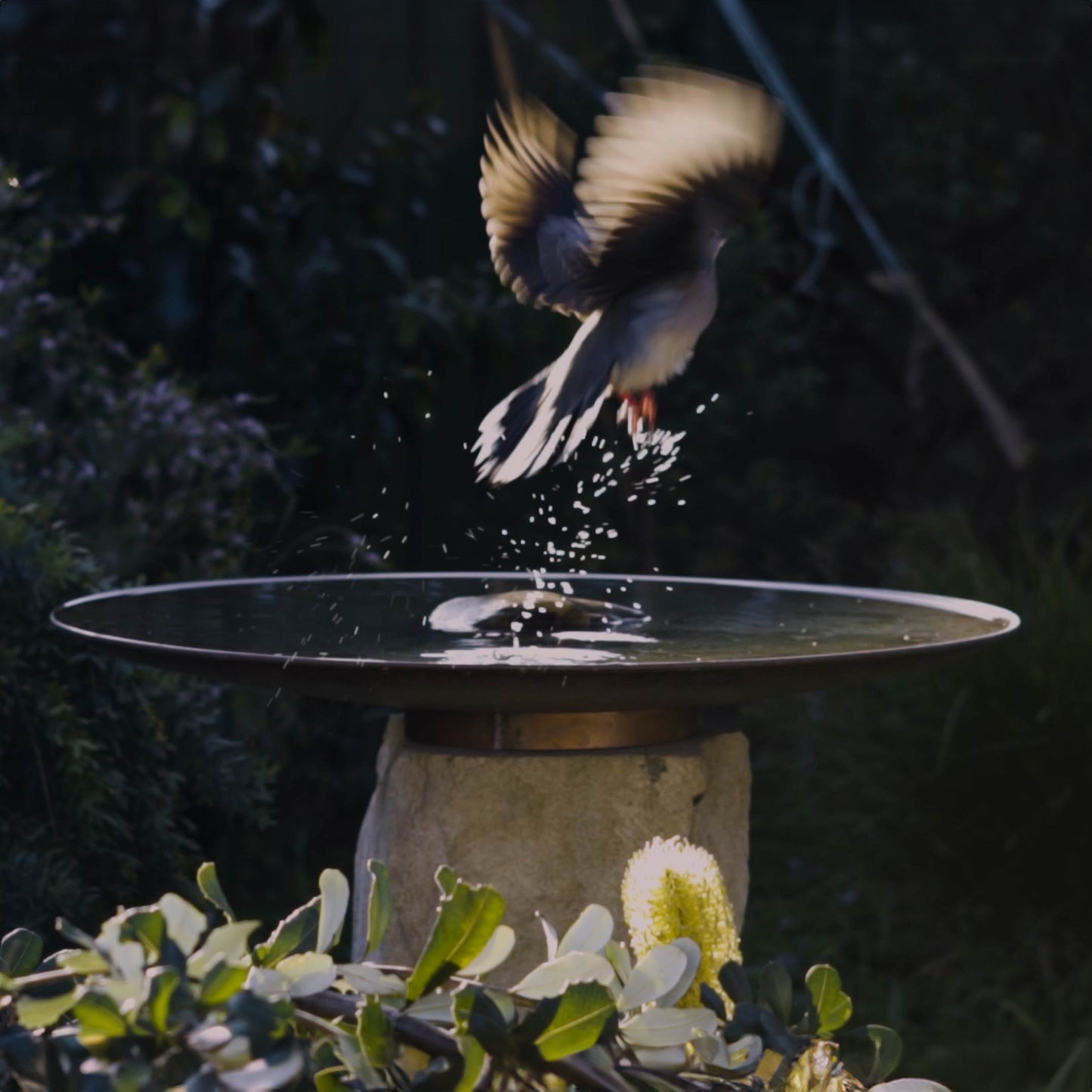 Large Dish on Sandstone Plinth