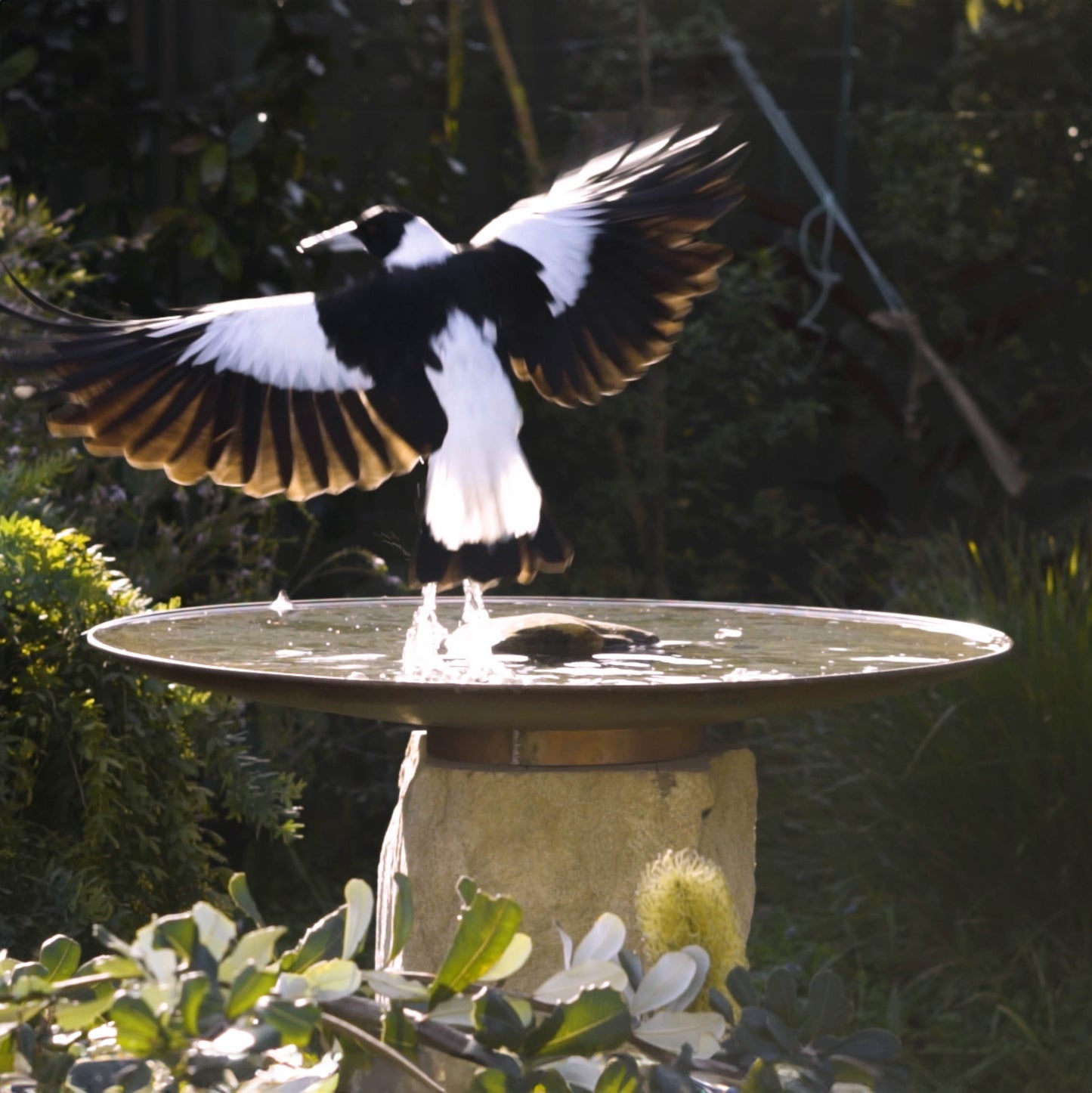 Large Dish on Sandstone Plinth