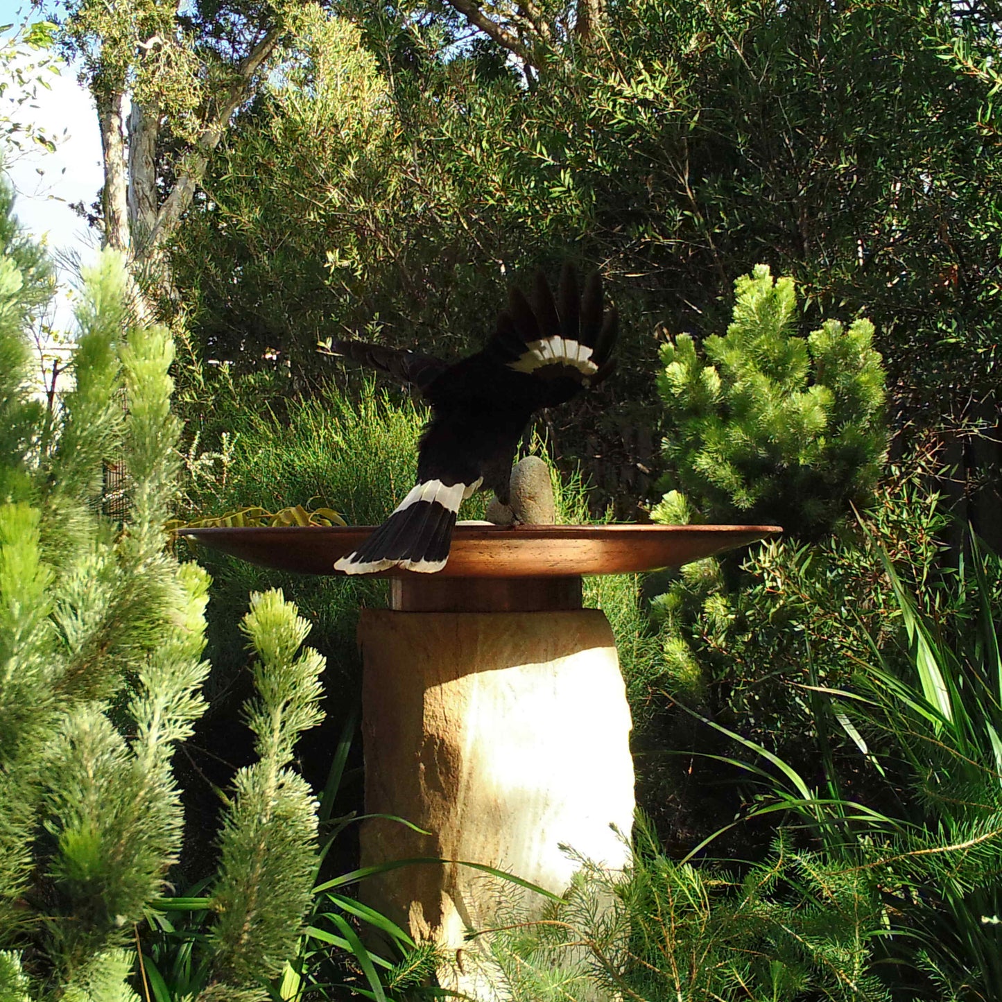 Large Dish on Sandstone Plinth