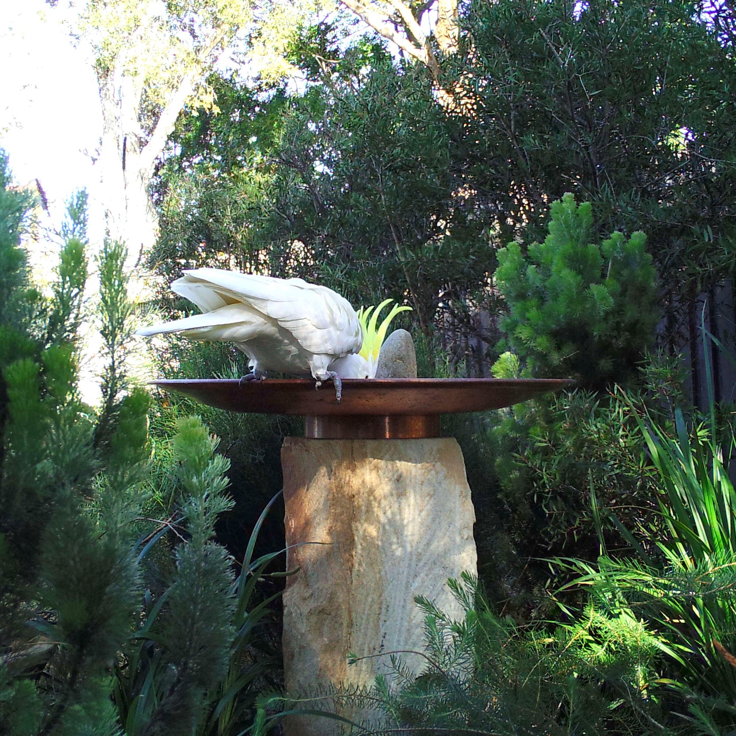 Large Dish on Sandstone Plinth