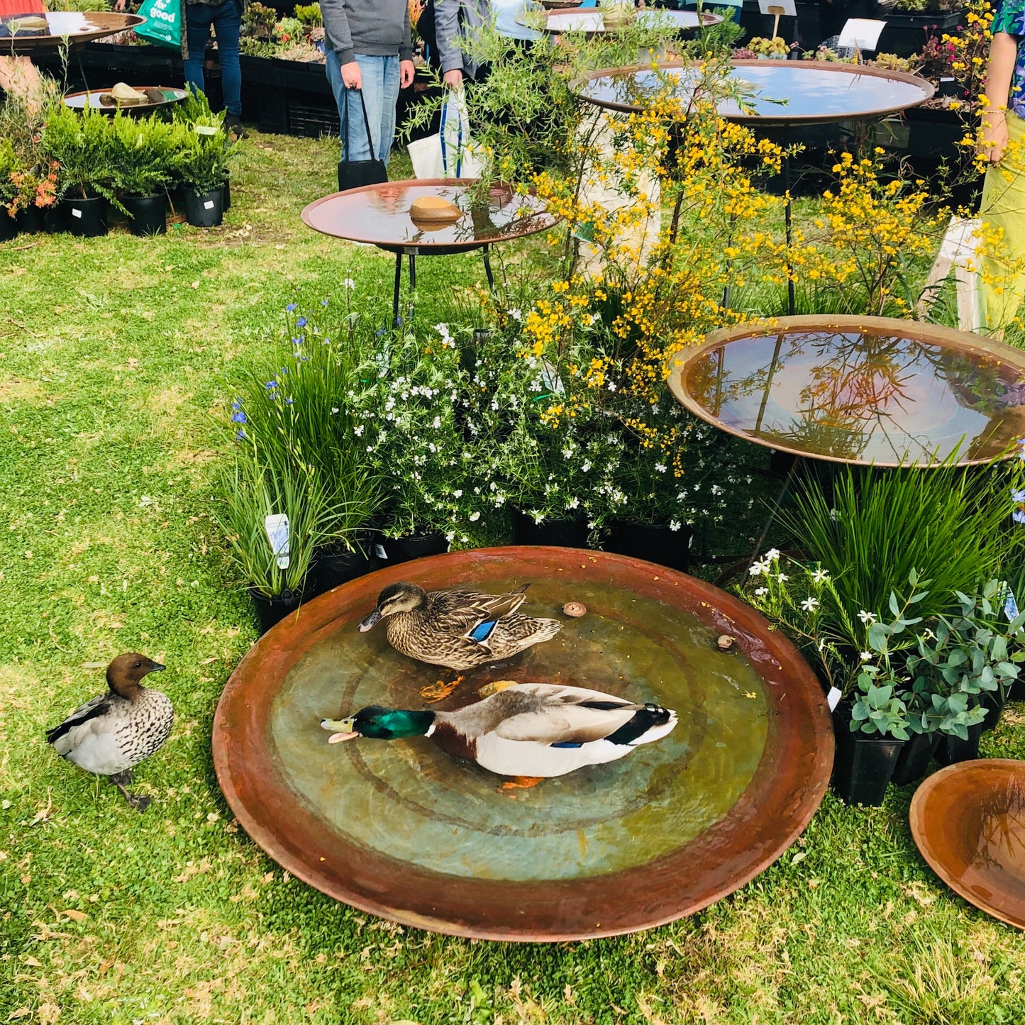 Extra-Large Spun Copper Dish