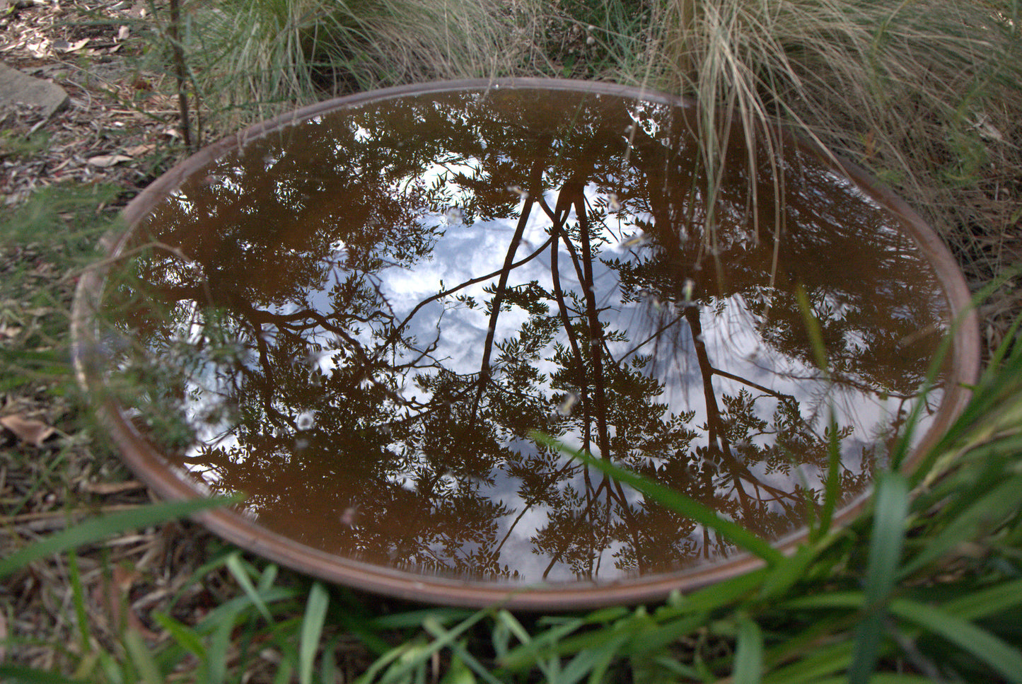 Extra-Large Spun Copper Dish