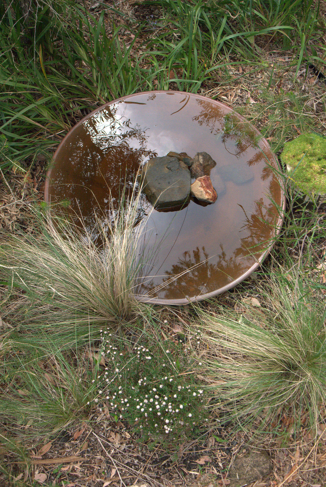 Extra-Large Spun Copper Dish