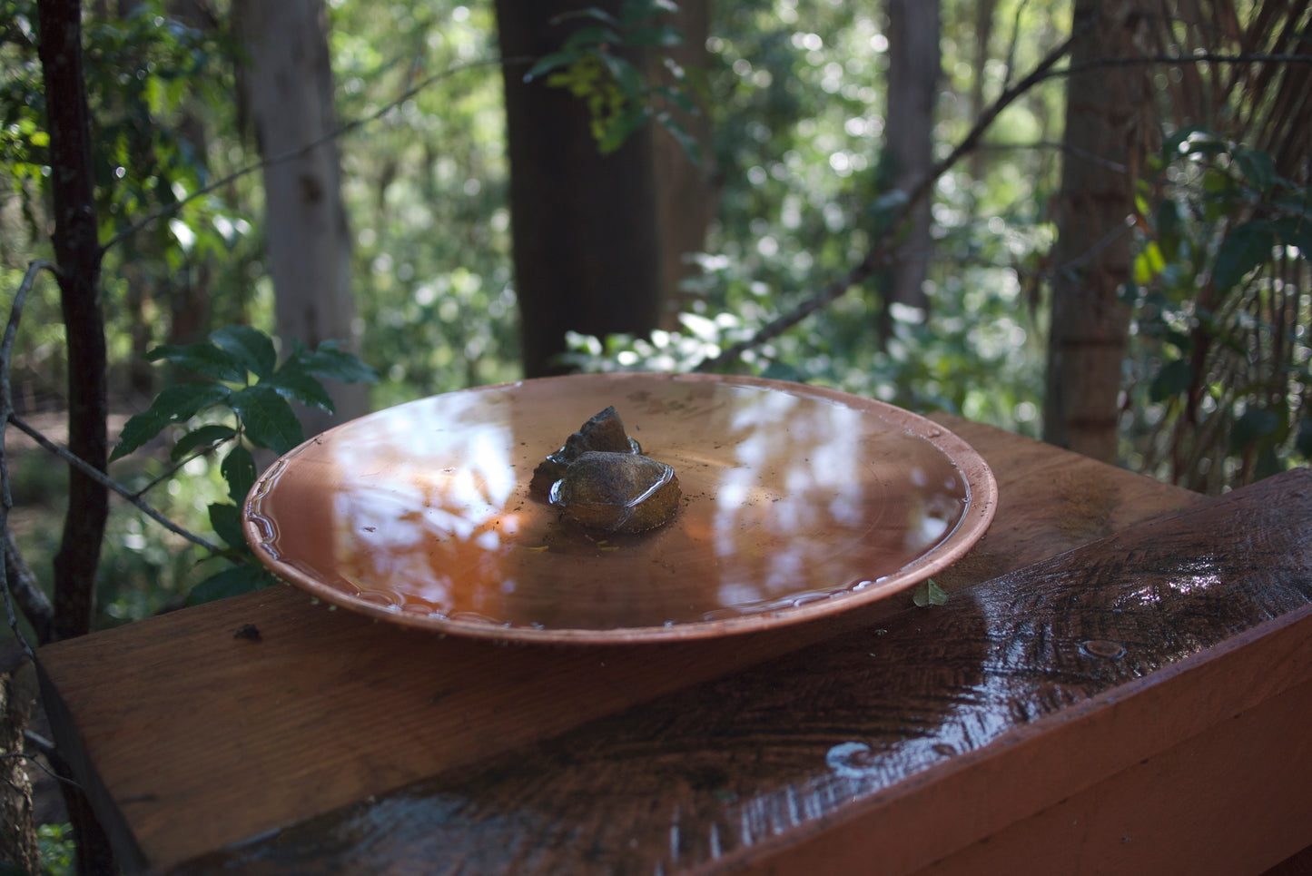 Mini Spun Copper Dish