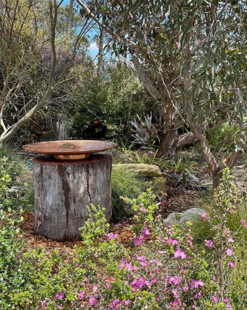 Medium Spun Copper Dish