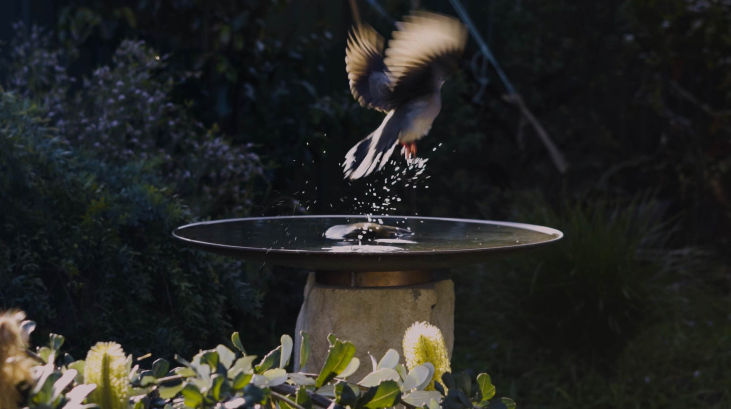 Large Dish on Sandstone Plinth