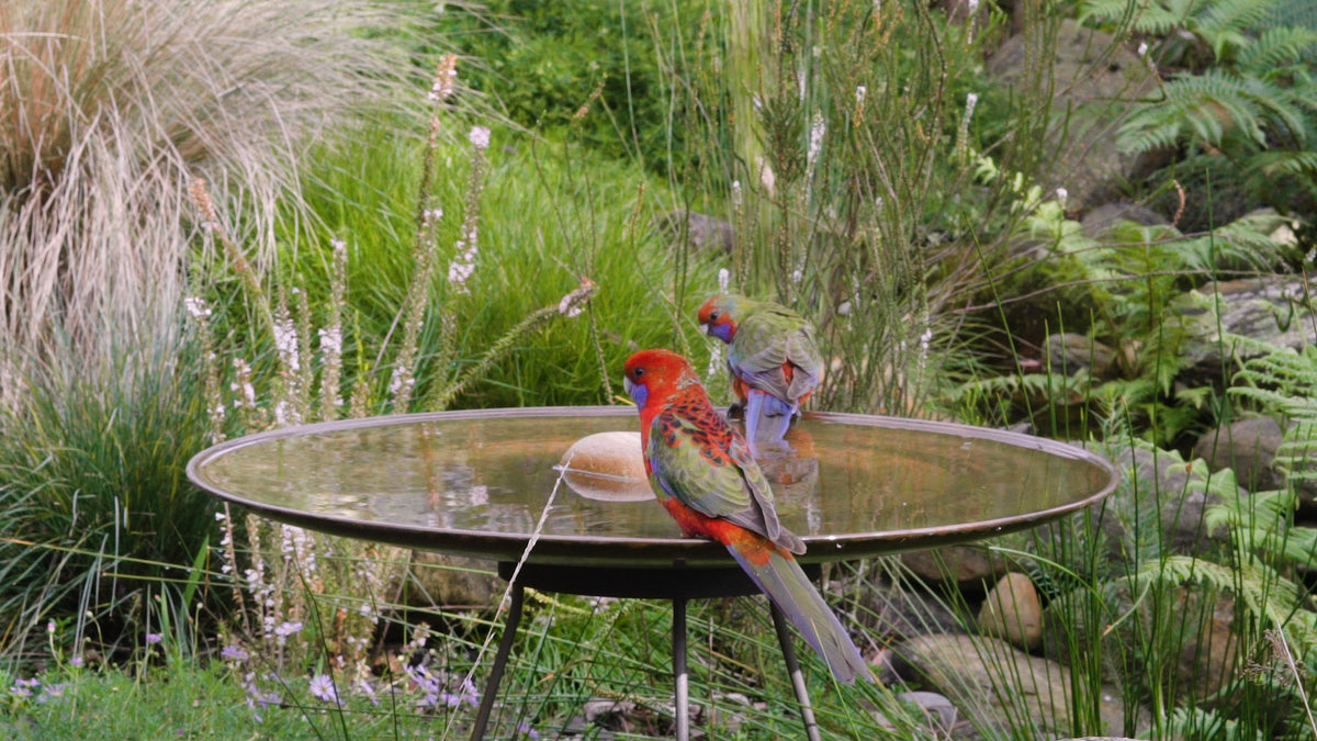 Simple, elegant birdbaths designed for the gardener and their birds ...