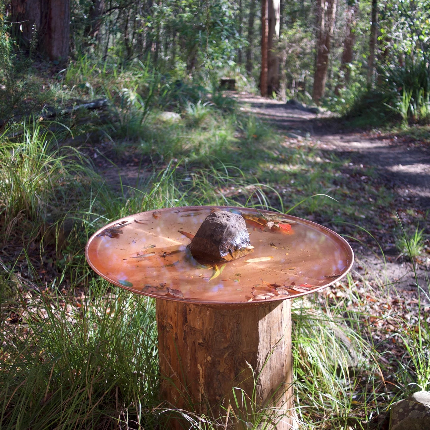 Large Spun Copper Dish